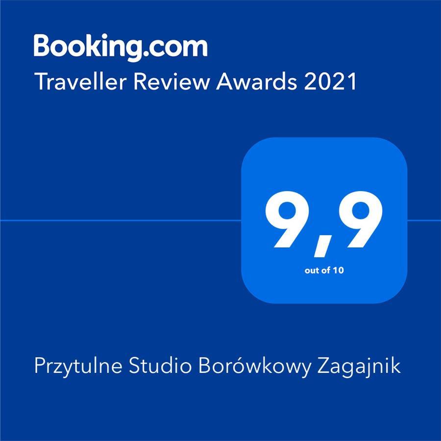 Przytulne Studio Borowkowy Zagajnik بييخوفيتسا المظهر الخارجي الصورة